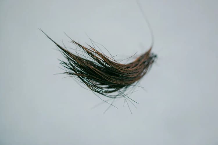 Fio de cabelo caindo em câmera lenta sobre um fundo neutro.